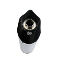 Exhaust compatible with Honda Hornet Cb 600 F 2007-2014, Gpe Ann. Black titanium, Homologated legal full system exhaust, including removable db killer and catalyst 