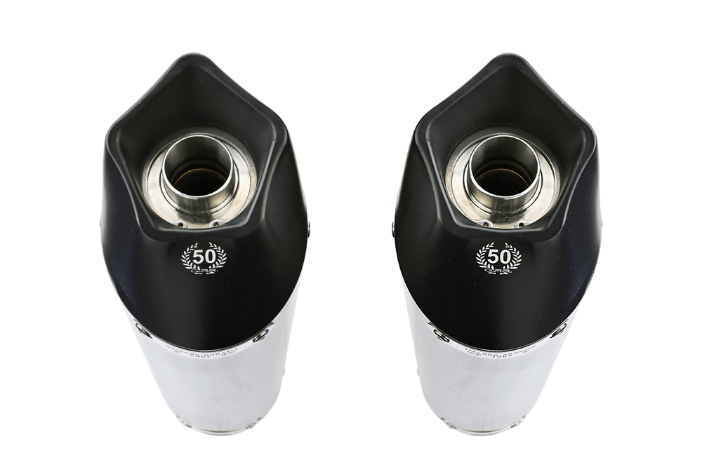 Exhaust compatible with Aprilia Rsv 1000 R Factory 2006-2010, Gpe Ann. titanium, Dual Homologated legal slip-on exhaust including removable db killers and link pipes 
