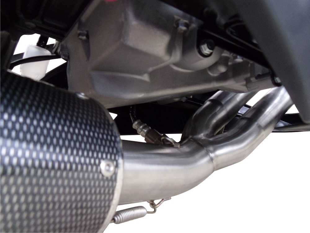 Exhaust compatible with Kawasaki Er 6 N - F 2012-2016, Gpe Ann. Poppy, Homologated legal full system exhaust, including removable db killer 