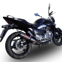 Exhaust compatible with Suzuki Gw 250 F Inazuma 2012-2017, Deeptone Inox, Dual Homologated legal slip-on exhaust including removable db killers and link pipes 