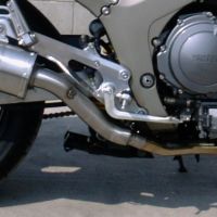 Exhaust compatible with Yamaha Tdm 900 2002-2014, Trioval, Dual Homologated legal slip-on exhaust including removable db killers, link pipes and catalysts 
