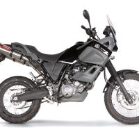 Exhaust compatible with Yamaha Xt 660 Z Teneré 2008-2016, Gpe Ann. titanium, Dual Homologated legal slip-on exhaust including removable db killers and link pipes 