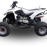 Exhaust compatible with Access SP250-SP300 Speed 2005-2021, Deeptone Atv, Homologated legal full system exhaust, including removable db killer 