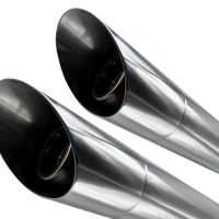 Exhaust compatible with Harley Davidson Sportster 1200 2010-2018, Slash Inox, Dual Homologated legal slip-on exhaust including removable db killers and link pipes 