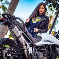 Exhaust compatible with Triumph Tiger 900 2020-2023, GP Evo4 Titanium, Homologated legal slip-on exhaust including removable db killer and link pipe 